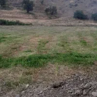 زمین