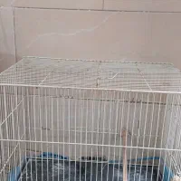 قفس پرنده