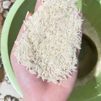 ۲۵ کیلو برنج هاشمی درجه یک