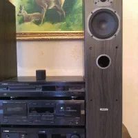 ضبط یاماها با باند تنوی