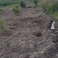 باغ-روستای-زرشک-پشت-دیوار-بخشنده