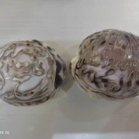 صدف قدمت دار حکاکی شده