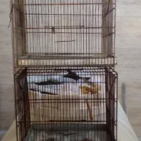 فروش تعدادی قفس درحدنو