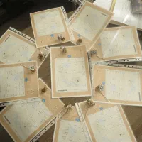 اخذ سند مالکیت رسمی تک برگ توسط وکیل دادگستری