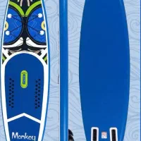 پدل برد paddle board