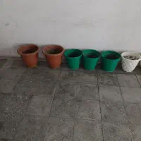 گلدان بزرگ متوسط کوچک