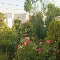 تهراندشت-تهرانویلا