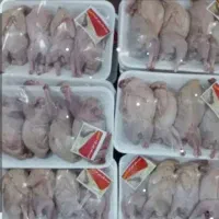گوشت بلدرچین 590
