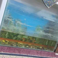 ۳تااکواریوم