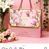 خانم آشنا ب جمع کردن ساک دستی