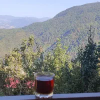 اجاره ویلا درپاقلعه،کلبه امیر