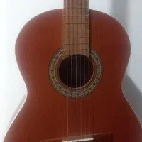 گیتار پارسیp40