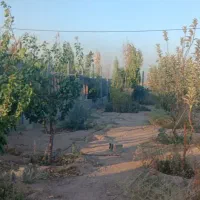 710متر-باغچه-ویلا-دهشاد-املاک-سالار