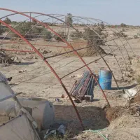گلخانه اماده کسی خواست درخدمتم