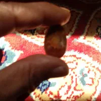 سکه والماس ریز وگل صدفی قاجاری و یاقوت  مختلف است