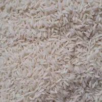 برنج هاشمی الک + سورتینگ شده ماسال شاندرمن