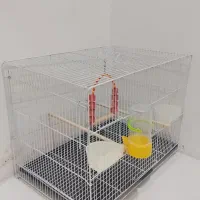 قفس عروس هلندی