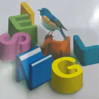تدریس خصوصی زبان انگلیسی