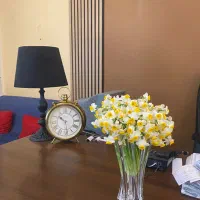 استخدام روانشناس و تراپیست خانم، در مرکز مشاوره