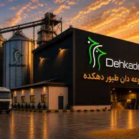 دان مرغ بوقلمون جوجه بلدرچین شترمرغ