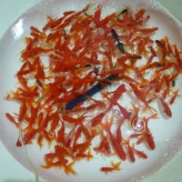 فروش ماهی قرمز