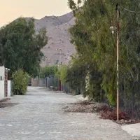باغ شهری نیمه