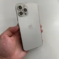 ip 12promax