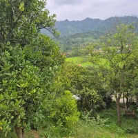 فروش زمین مسکونی