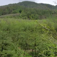 استخدام پرستار خانم شبانه روزی