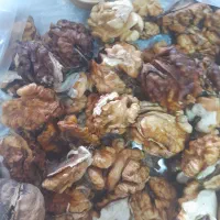 گردو ‌فسنجانی تازه‌ امسالی