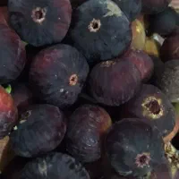 انجیر عسلی و خوشمزده
