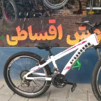 دوچرخه سایز 24 دیسکی المنیومی