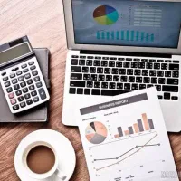 حسابدار مسلط به سپیدار
