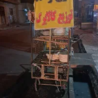 مرغ زنده با کالا برگ قیمت مرغداری