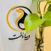 استخدام پرسنل