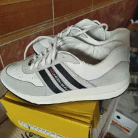 کفش کار وپیاده روی