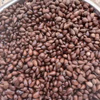 صبا|خوردنی و آشامیدنی|مسجد سلیمان, |دیوار