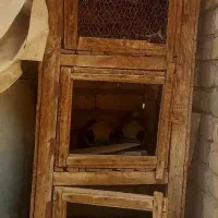 لانه