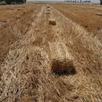 کاه پرس آبی