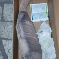 کاتالیزور  زانتیا