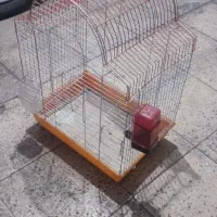 قفس پرنده کلن چند روز استفاده شده