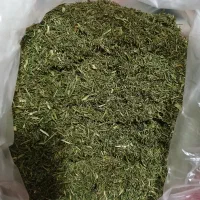 شوید معطر و خالص  و خانگی