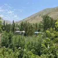 باغ-میوه