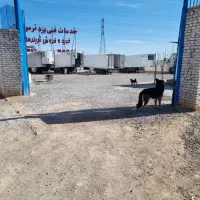 لوازم استوک موتوری اسکانیا ۳۸۰واف اچ ۴۴۰
