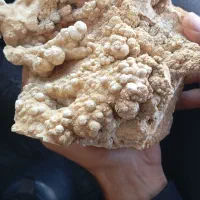 سنگ کلکسیونی آراگونیت گل کلمی کمیاب فروشی