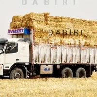 کاه و یونجه درجه۱ به قیمت