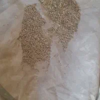 ۱۳تن‌گاودانه