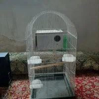 قفس پرنده