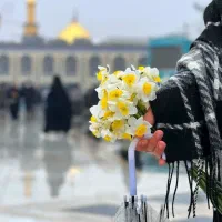 تور ریلی مشهد/ ویژه نیمه دوم خرداد با قطار