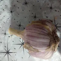سیر فروشی